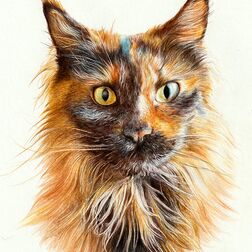 Tierporträt - bunt gefleckte Katze - Zeichnung Buntstift auf Papier - A4- Haustier malen lassen